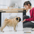 Girl-Pug-and-Card